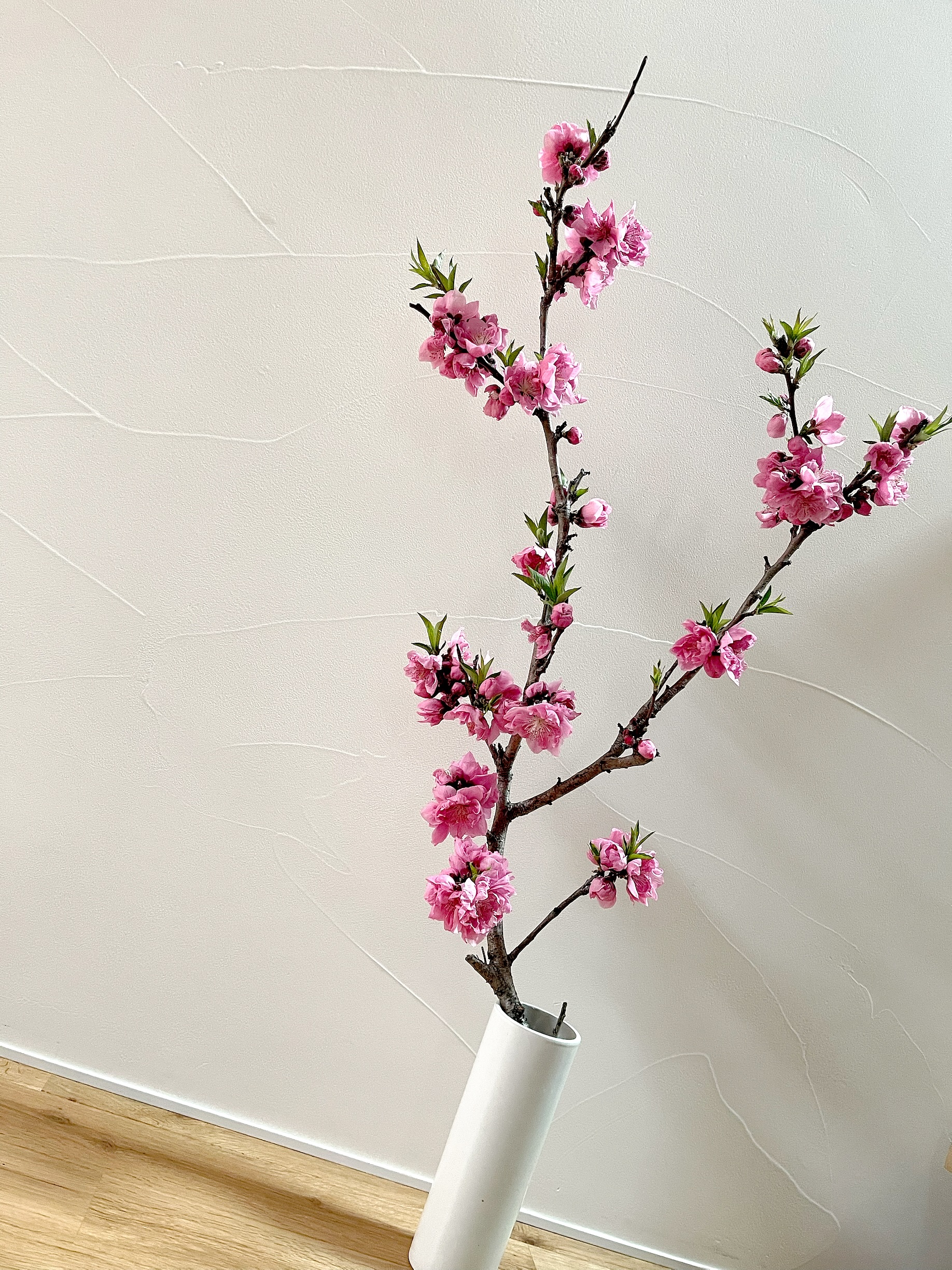 春の気配を感じる3月