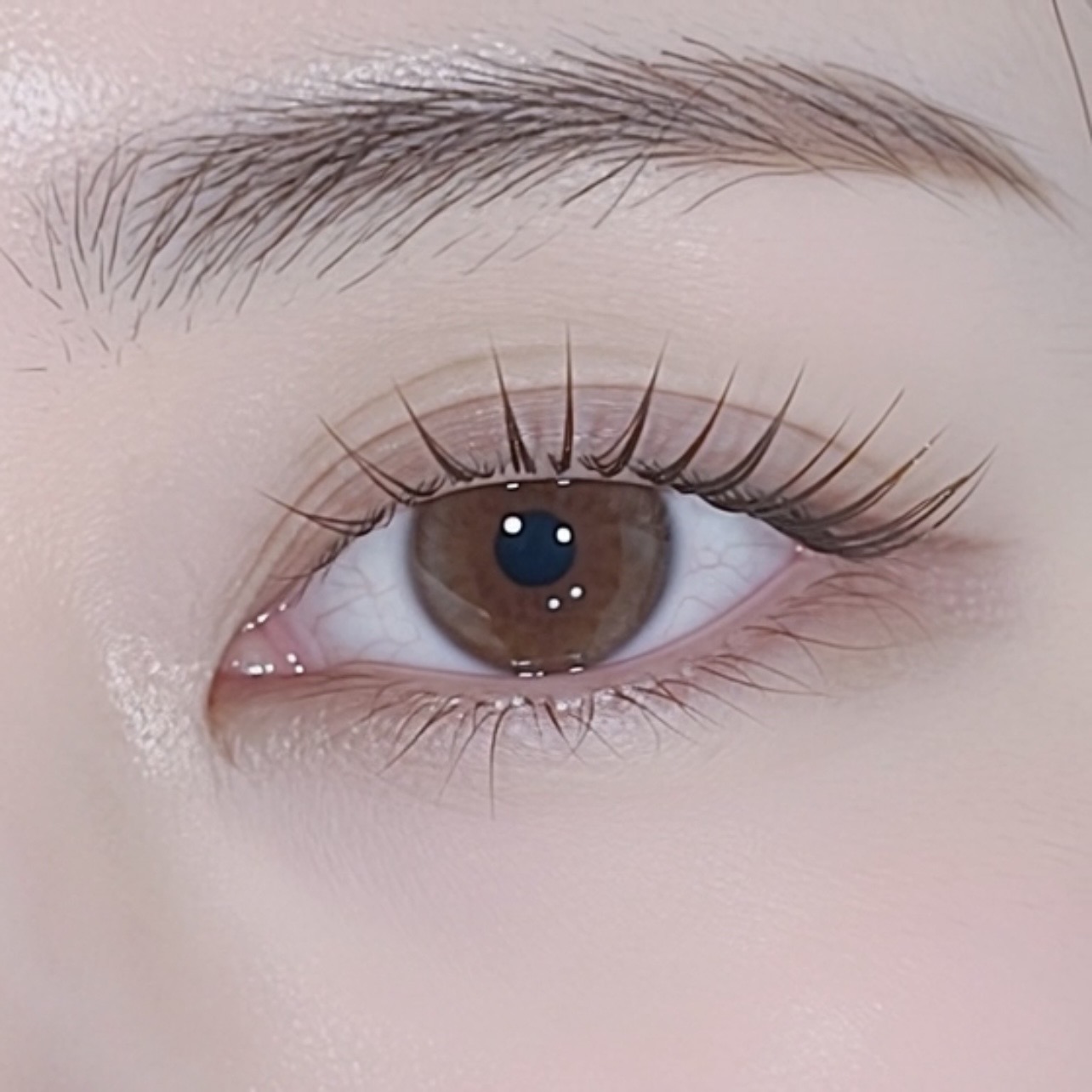 花粉の時期におすすめ