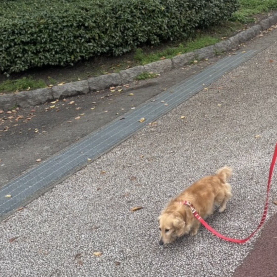 続かない人でもできる春のゆる習慣
